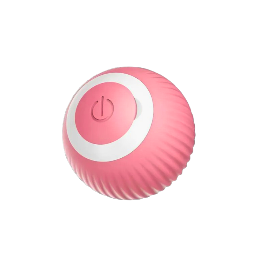 Interactive Pet Ball